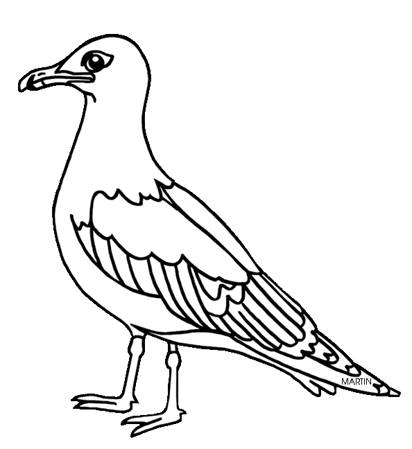 Dibujo de una gaviota para colorear - Imagui
