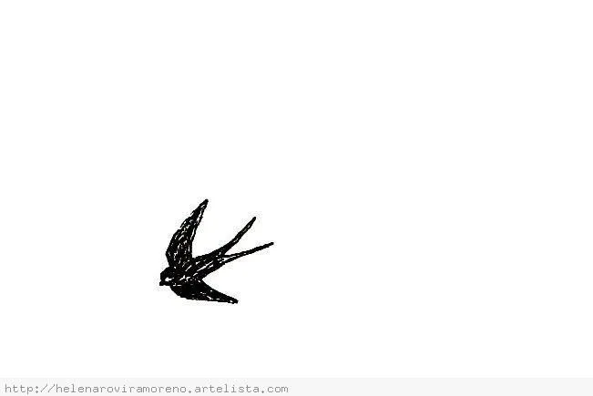 Golondrina volando dibujo - Imagui