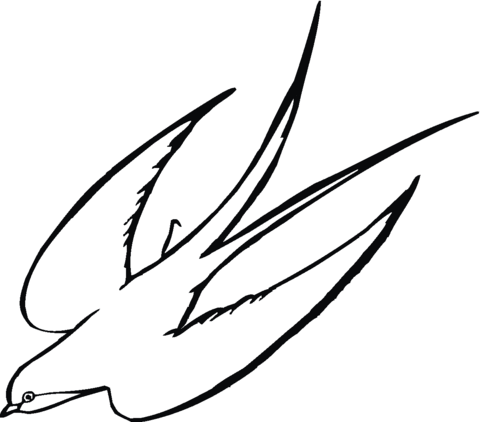 Dibujo de Golondrina Volando para colorear | Dibujos para colorear ...