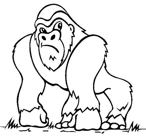 Dibujo de Gorila 1 para Colorear - Dibujos.net