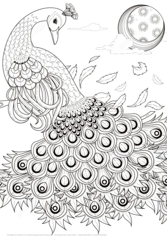 Dibujo de Grácil Pavo Real para colorear | Dibujos para colorear ... Dibujo de Grácil Pavo Real para colorear | Dibujos para colorear ...