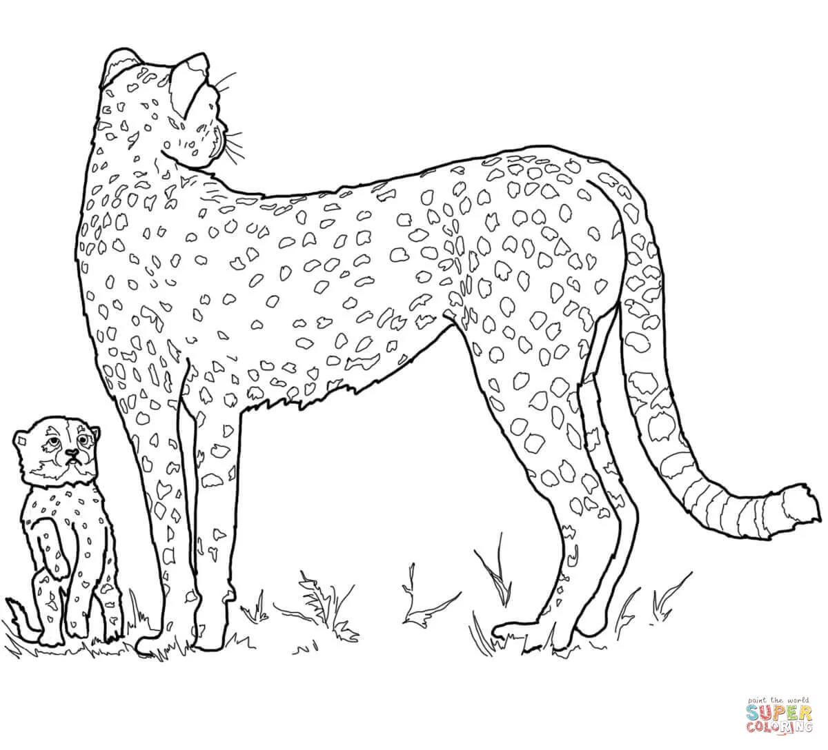 Dibujo de Guepardo bebé con su Madre para colorear | Dibujos para colorear  imprimir gratis