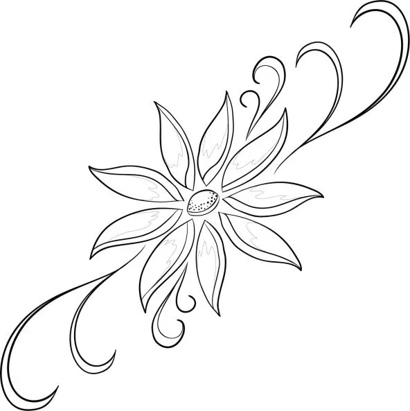 Dibujo guía de flores - Imagui