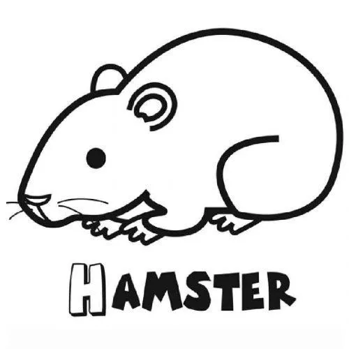 Dibujo de un hamster para colorear - Dibujos para colorear de ...