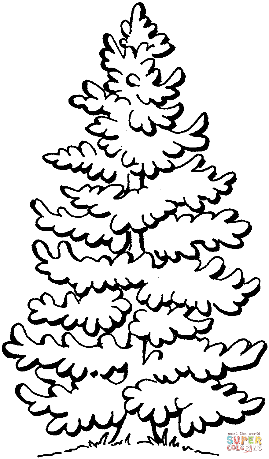 Dibujo de Hermoso Pino para colorear | Dibujos para colorear ... Dibujo de Hermoso Pino para colorear | Dibujos para colorear ...