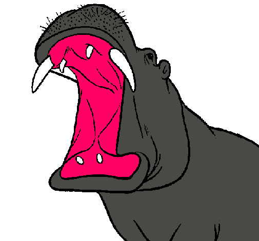 Dibujo de Hipopótamo con la boca abierta pintado por ...