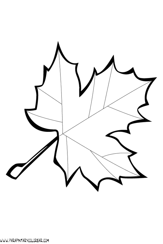 Dibujo de arbol con hojas - Imagui