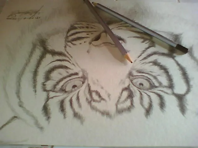 Este dibujo en honor a los tigres de Bengala, en via de extinción ...