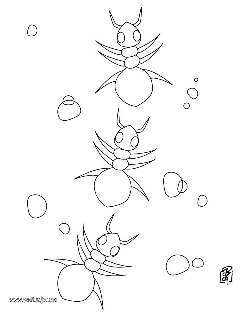 Dibujo hormigas - Dibujos para colorear HORMIGA Dibujo hormigas - Dibujos para colorear HORMIGA