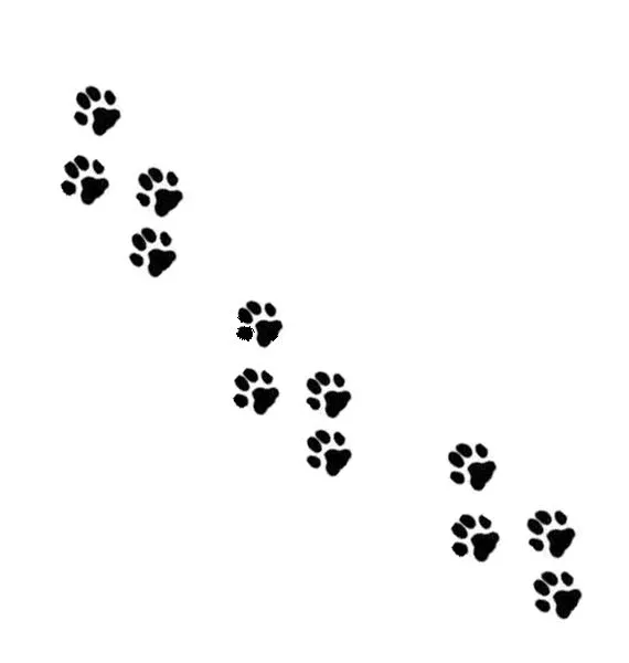 Dibujo de huellas de gato - Imagui