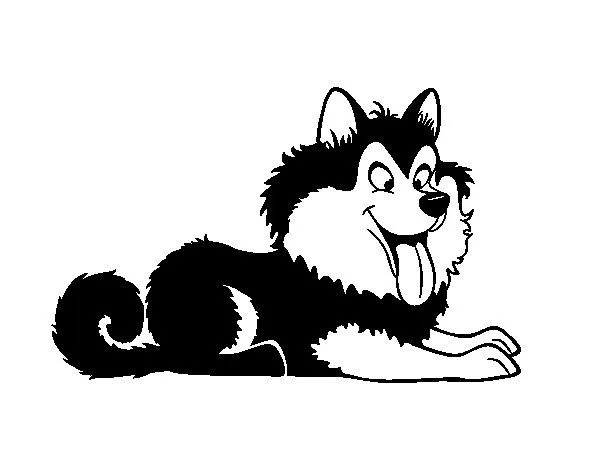 Dibujo de Husky cachorro para Colorear - Dibujos.net