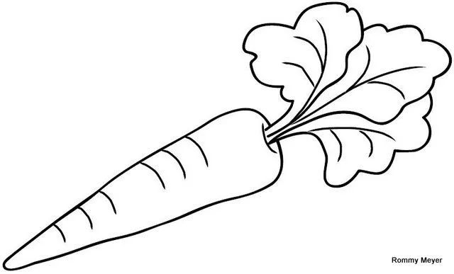 Zanahoria de dibujo - Imagui