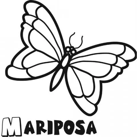 14420-4-dibujos-mariposa.jpg
