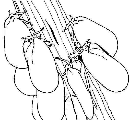 Dibujo de Insectos en un tronco para Colorear - Dibujos.net