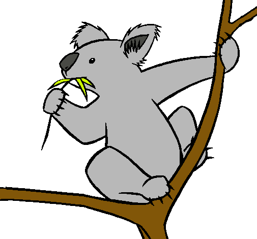 Dibujo de Koala pintado por Koala en Dibujos.net el día 15-11-10 a ...