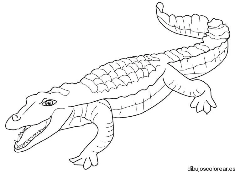 Dibujo de un lagarto - Imagui