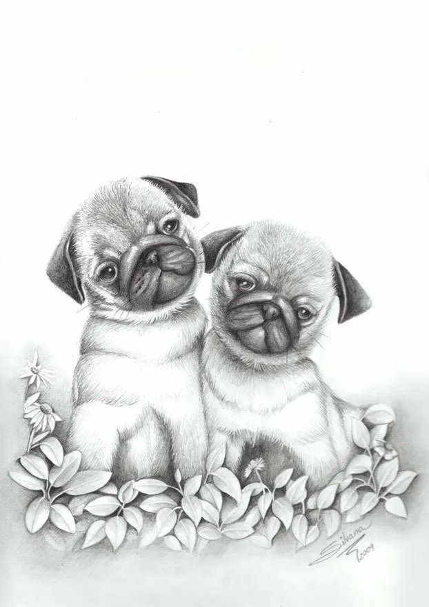 Dibujo a lapiz de animales tiernos - Imagui | Cachorros graciosos ... Dibujo a lapiz de animales tiernos - Imagui | Cachorros graciosos ...