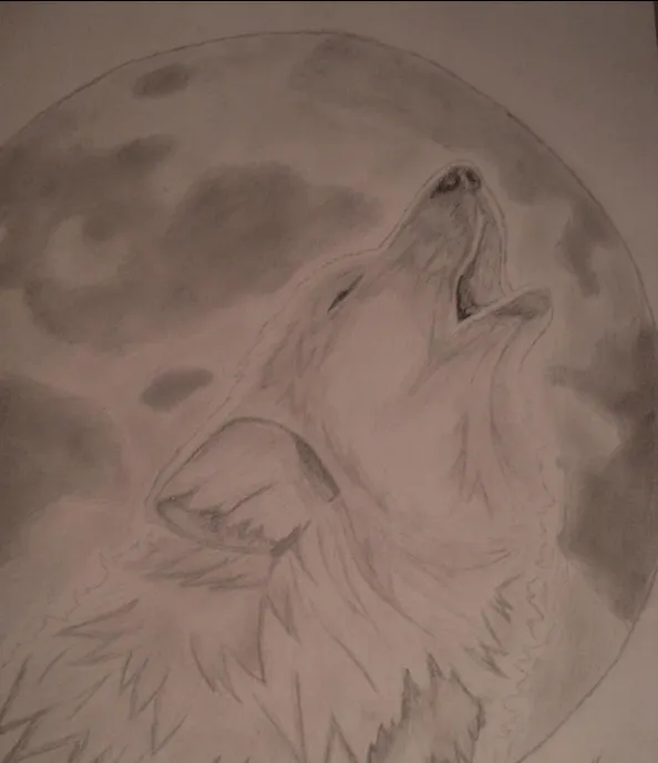 Dibujo a lápiz | Lobo aullando a la Luna. - Taringa!