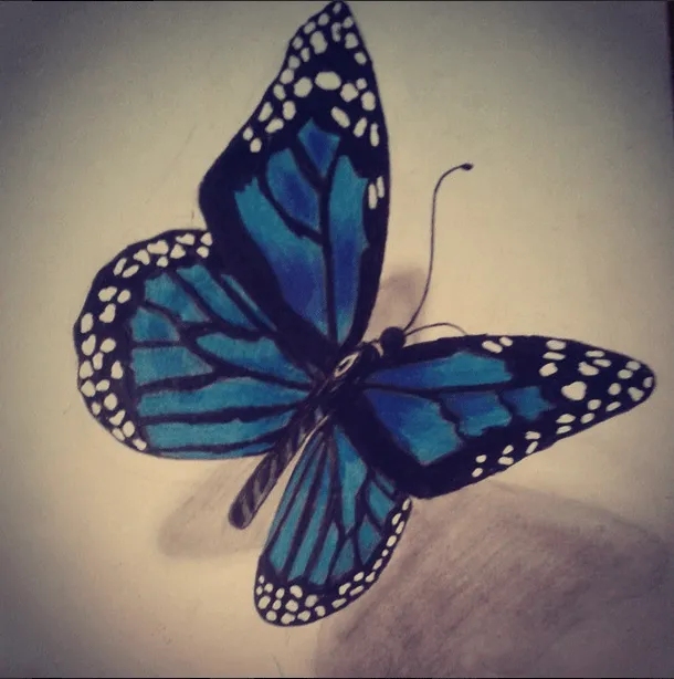Dibujo a lapiz: Mariposa 1 by SamiDrawings on DeviantArt