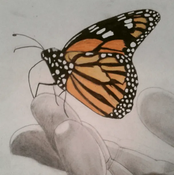 Dibujo a lapiz: Mariposa 2 by SamiDrawings on DeviantArt