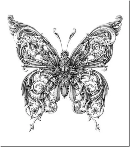 Dibujo de mariposa a lapiz - Imagui