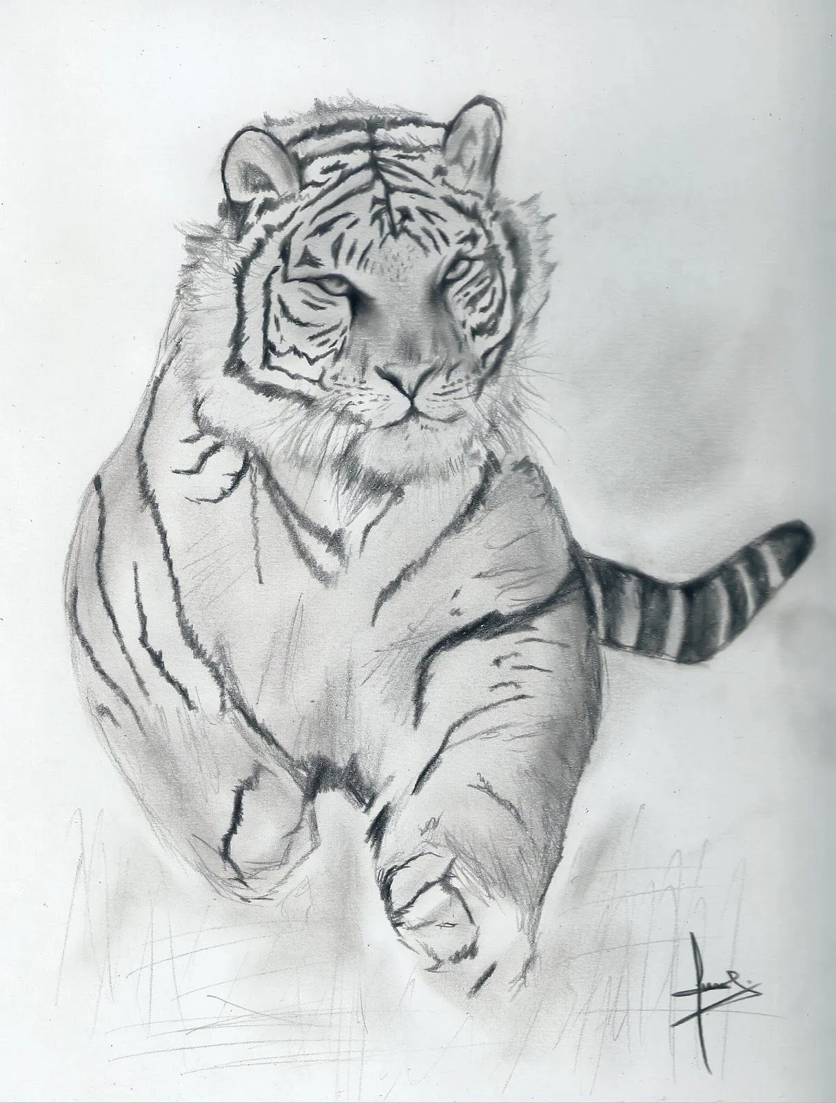 Dibujo a lapiz de tigre | Dibujos a lapiz
