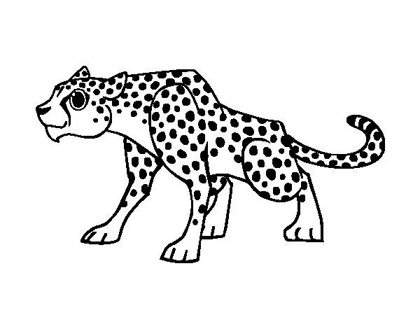 Dibujo de Un leopardo para Colorear - Dibujos.net