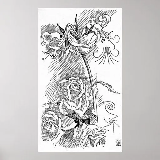 Dibujo lineal color de rosa y del lirio poster de Zazzle. Dibujo lineal color de rosa y del lirio poster de Zazzle.