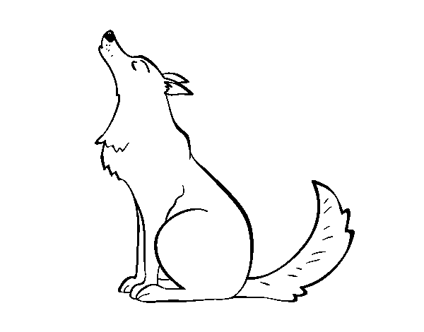 Dibujo de Lobo aullando para Colorear - Dibujos.net Dibujo de Lobo aullando para Colorear - Dibujos.net