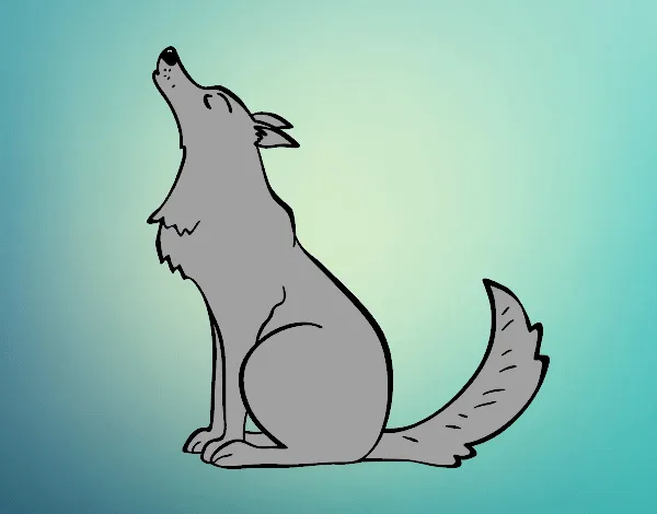 Dibujo de Lobo aullando pintado por en Dibujos.net el día 03-05-15 ... Dibujo de Lobo aullando pintado por en Dibujos.net el día 03-05-15 ...