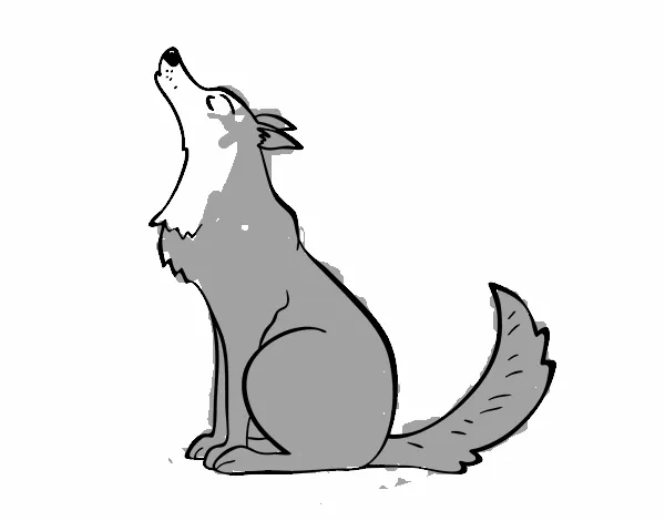 Dibujo de Lobo aullando pintado por en Dibujos.net el día 29-05-15 ... Dibujo de Lobo aullando pintado por en Dibujos.net el día 29-05-15 ...