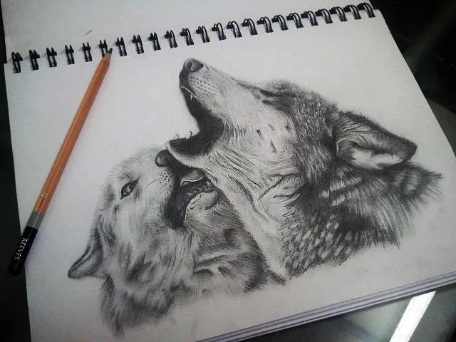 Dibujo de un lobo a lapiz - Imagui | lobos | Pinterest