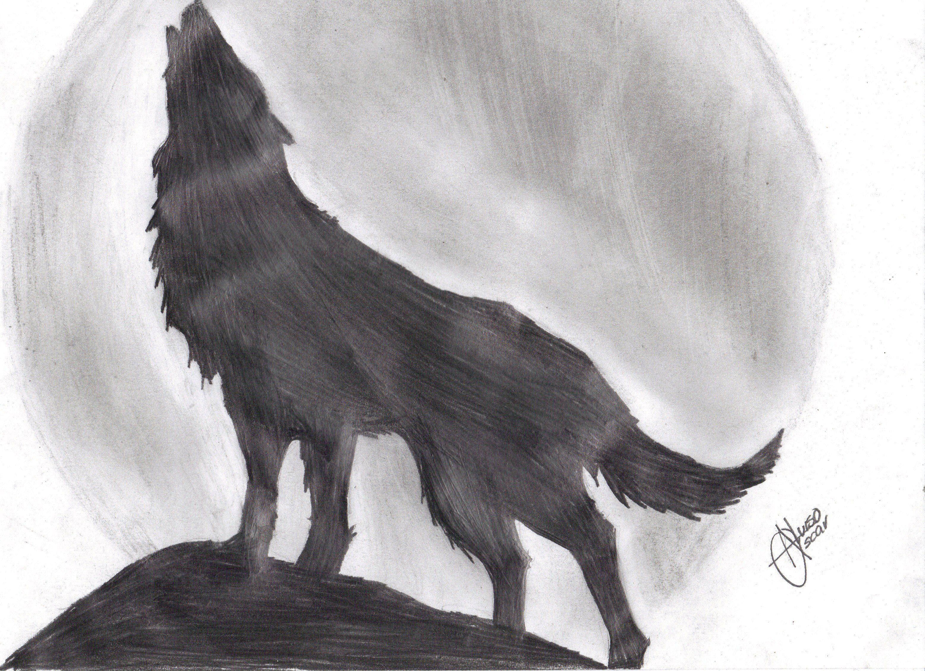 Dibujo de un lobo a lapiz - Imagui | lobos | Pinterest | Dibujo