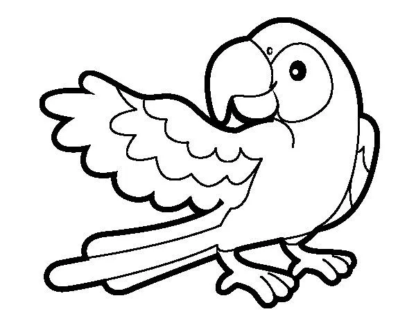 Dibujo de Loro con ala abierta para Colorear - Dibujos.net Dibujo de Loro con ala abierta para Colorear - Dibujos.net