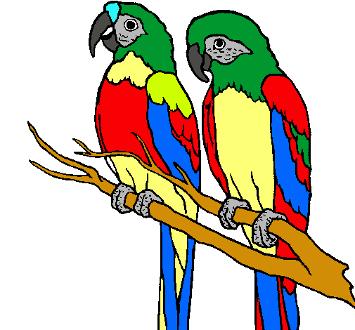 Dibujo de Loros pintado por Loros en Dibujos.net el día 01-12-10 a ... Dibujo de Loros pintado por Loros en Dibujos.net el día 01-12-10 a ...