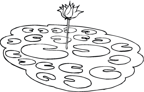 Dibujo de Lotos en un estanque para colorear | Dibujos para ...