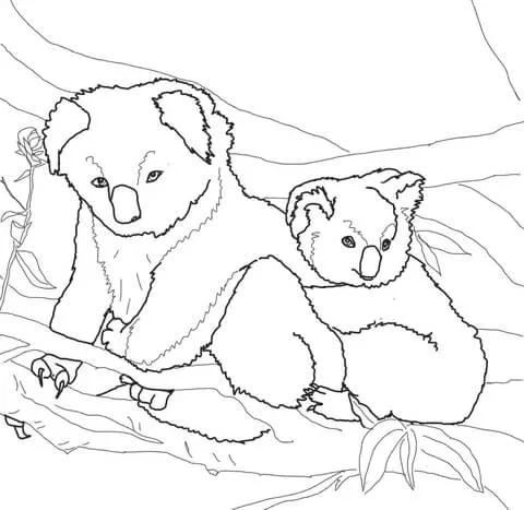 Dibujo de Mamá Koala con Bebé Koala para colorear | Dibujos para ...