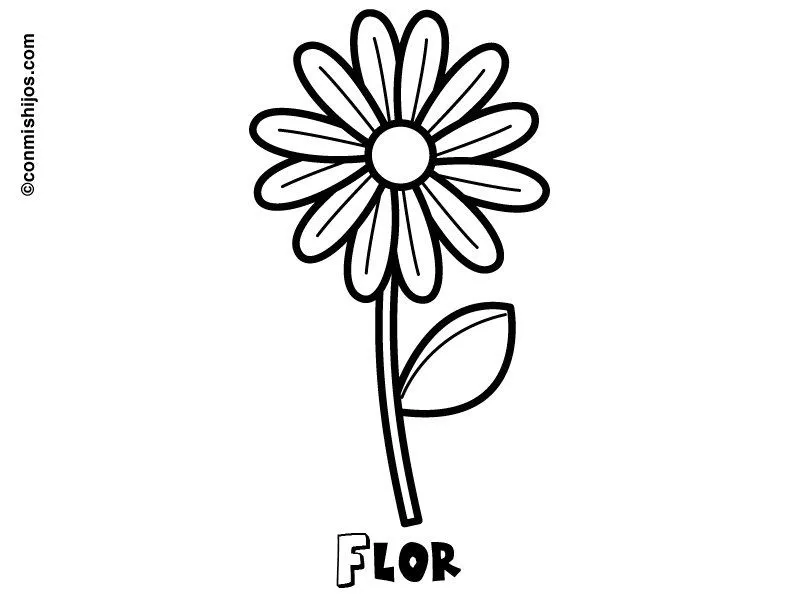 Dibujo de una margarita. Imágenes de flores para pintar Dibujo de una margarita. Imágenes de flores para pintar