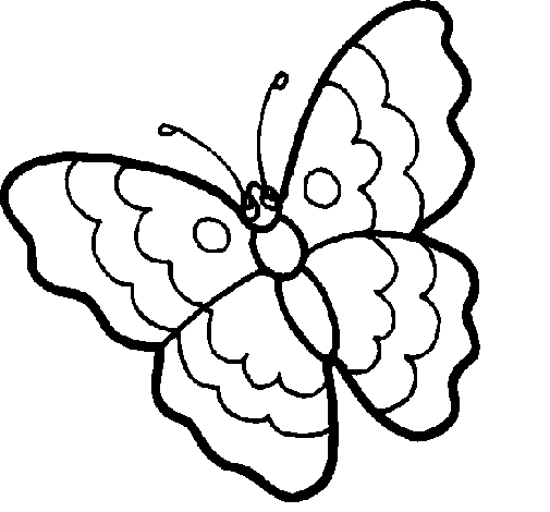 Dibujo de Mariposa 13 para Colorear - Dibujos.net