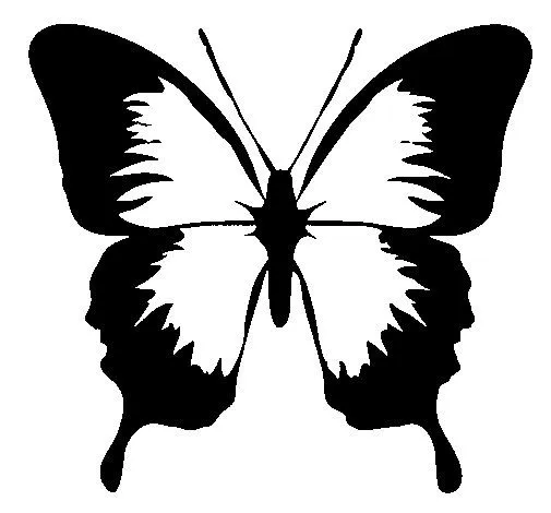 Dibujo de Mariposa con alas negras para Colorear - Dibujos.net