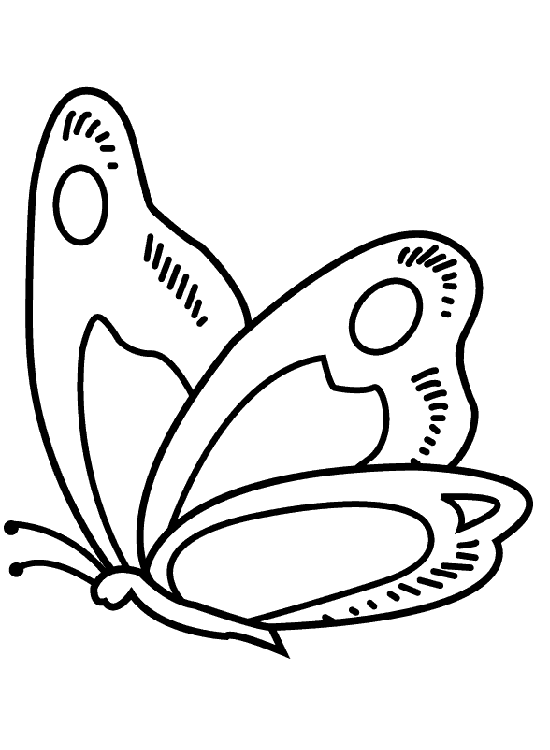 Dibujo de mariposa para colorear e imprimir - Imagui