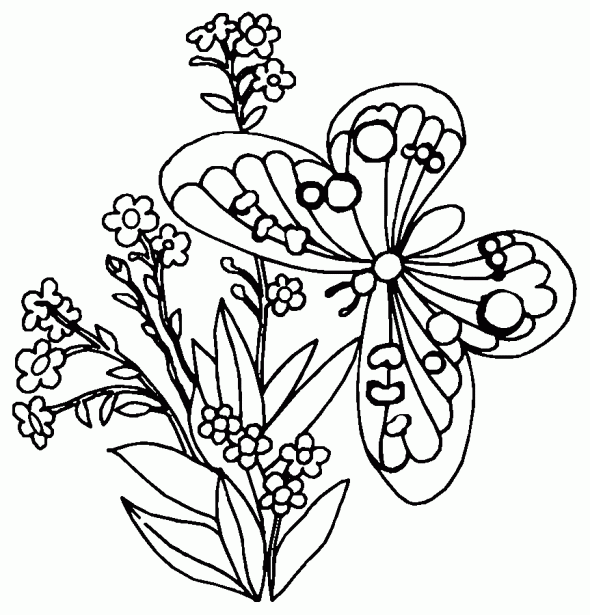 Dibujo-de-Mariposa-sobre-flor.gif