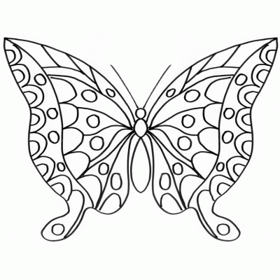 Dibujo de Mariposa grande. Dibujo para colorear de Mariposa grande ...