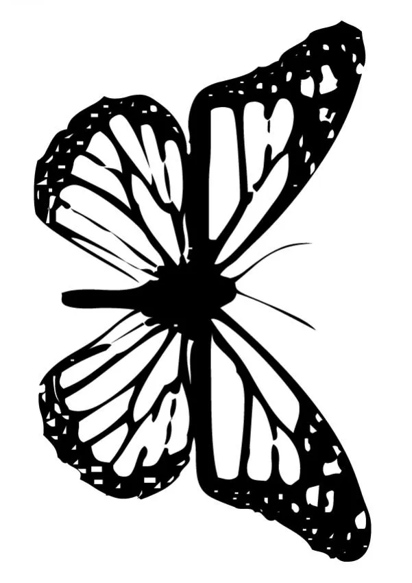 Dibujo de mariposa monarca para colorear - Colorear MARIPOSA MONARCA