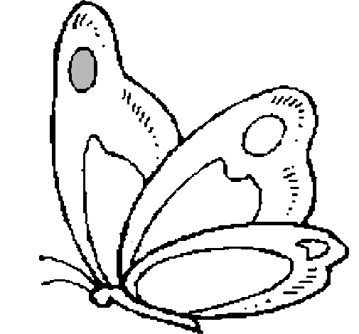 Dibujo de Mariposa pintado por Buho en Dibujos.net el día 18-10-10 ...