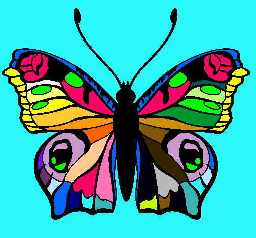 Dibujo de Mariposa pintado por Colorida en Dibujos.net el día 08 ...