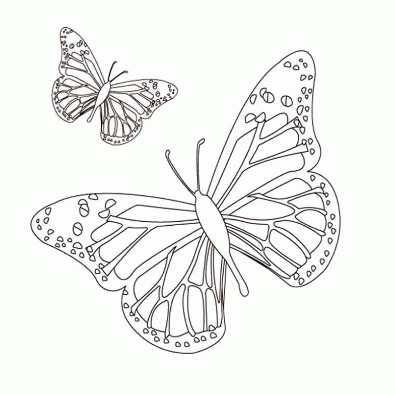 Dibujo de Mariposas para colorear. Dibujos infantiles de Mariposas ...
