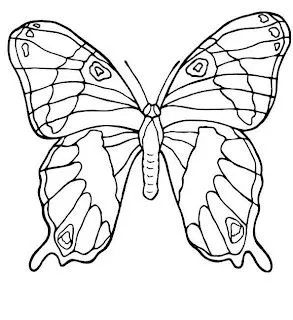 Dibujo de Mariposas para imprimir y colorear! Dibujo de Mariposas para imprimir y colorear!