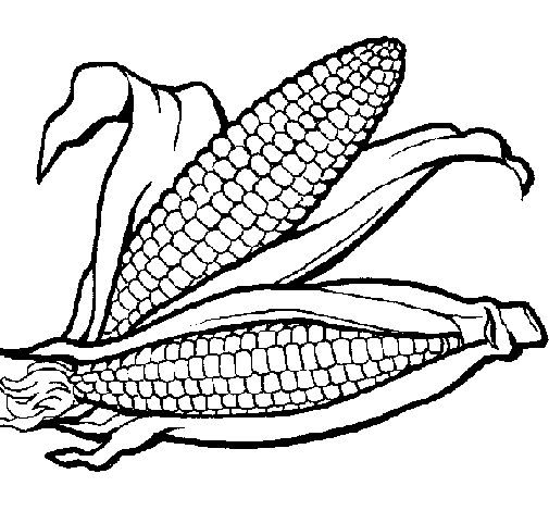 Dibujo de Mazorca de maíz para Colorear - Dibujos.net