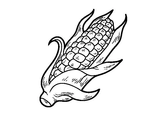 Dibujo de Una mazorca de maíz para Colorear - Dibujos.net